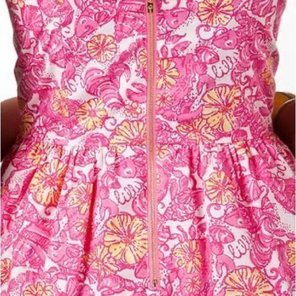 Lily Pulitzer Pink Dress - Picture 7 of 7